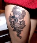 snake skull